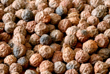 Sementes da Amazônia - Murici de flor amarela