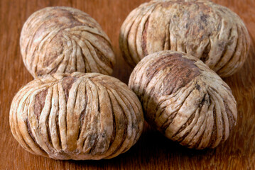 Sementes da Amazônia  - Ucuubão