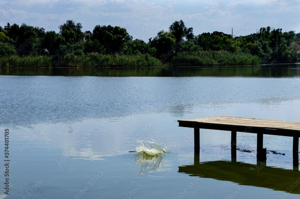 Wall mural panoramic view from the bank of the kakhovsky reservoir to a wooden pier in the water. wooden pier w