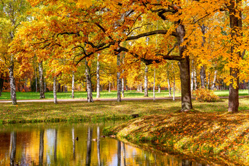 Golden autumn in Alexander park, Tsarskoe Selo (Pushkin) Saint Petersburg, Russia