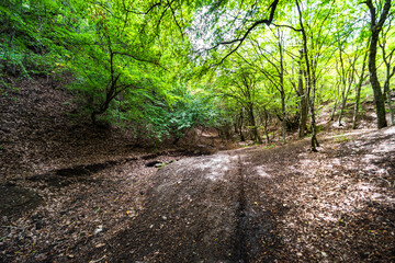 Wild landscape in Tbilisi, Georgia