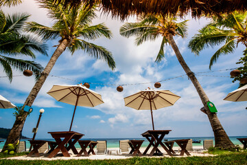 Obraz na płótnie Canvas beach and tropical sea with Coconut tree in Thailand