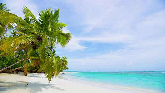 Taiwan beach background. Intact palm beach island on the blue Indian ocean.