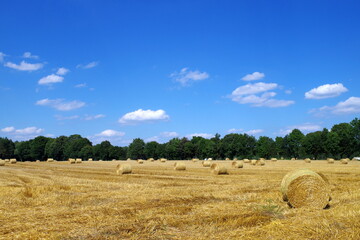 Countryside field during summer - haystacks