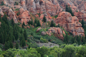 Pine Canyon near Croydon, Utah. 