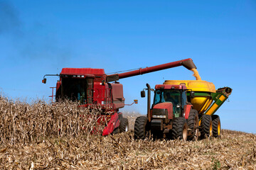 Fototapeta premium Colheita e descarga de milho.