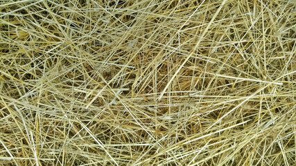 Background. Hay, mown grass. Close-up