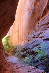 Fuzzy Caterpillar gorge, a slot canyon on the Burr Trail in the Grand Staircase escalante national monument in Southern Utah
