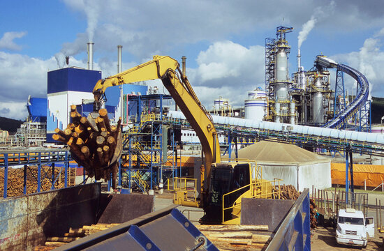 Industria de Celulose.