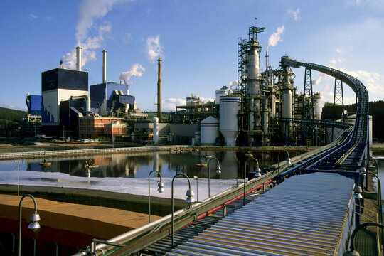 Industria de Celulose.