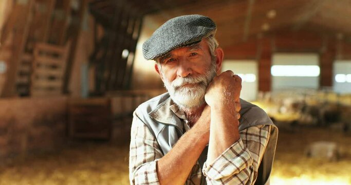 Portrait of handsome Caucasian old gray-haired man with beard and moustache looking at camera with shrewd eyes and leaning on stick of pitchfork. Male shepherd in stable. Close up.