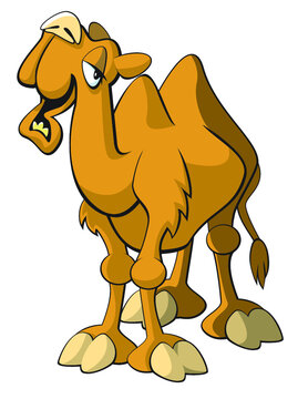 cartoon camel cartoon
