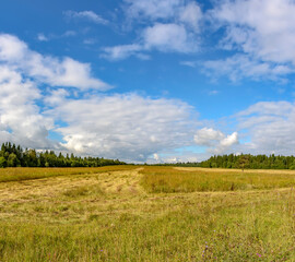 A field with mowed grass in the Leningrad region.