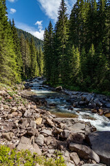 Obraz premium View of the river or torrent in the Natural Park of Paneveggio Pale di San Martino in Tonadico, Trentino, Italy