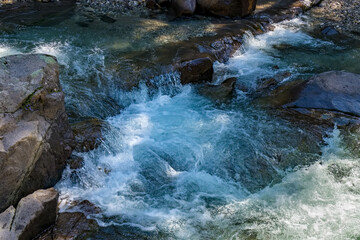 View of the river or torrent in the Natural Park of Paneveggio Pale di San Martino in Tonadico, Trentino, Italy