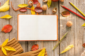 Naklejka na ściany i meble Notes in a notebook on a beautiful autumn morning.
