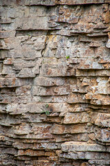 Side of a rocky cliff in a canyon