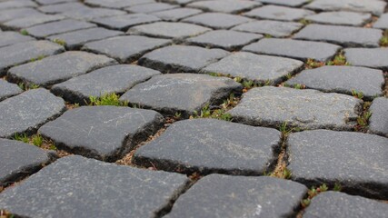 paving stone texture