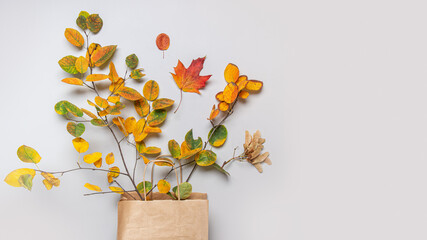 Fall leaves in craft paper bag on grey background. View from above. Concept autumn sale with copy space.