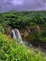 waterfall in the forest