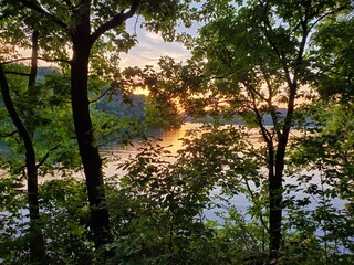 Obraz premium Sunset through Trees