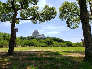 Obraz premium 日陰でのんびり