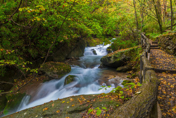 Autumn scenery of Hubei Shennongjia National Geopark Scenic Area, China
