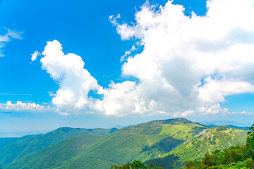 Fototapeta premium 【長野県 美ヶ原】雲上の景色が望める「王ヶ鼻」