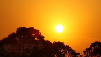 Orange Sunset I