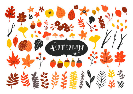 Vector set of autumn icons. Falling leaves, acorns, pinecones and old twigs.