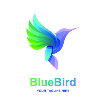 Blue Bird Gradient Logo Concept