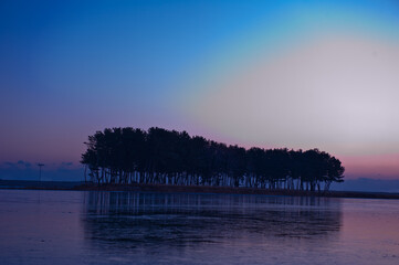Landscape with pine trees on  sea island at winter season