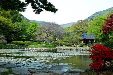 Fototapeta premium The beautiful landscape of green garden,pond and forest