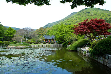 The beautiful landscape of green garden,pond and forest