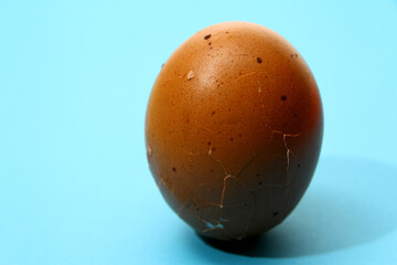 Macro of chicken egg texture