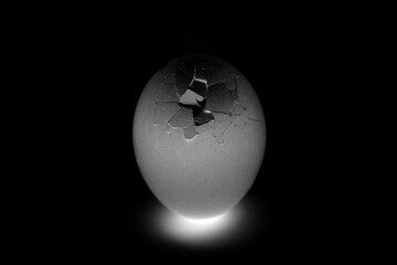 Macro of chicken egg texture