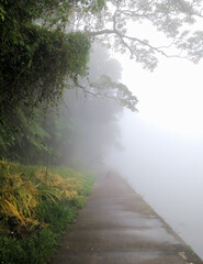 Beautiful and foggy landscape from Buyan Lake Bedugul Bali Indonesia