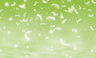 Feather abstract freedom concept. Group of light fluffy a white feathers falling down in the air with snowfall. Green background