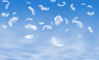 Feather abstract freedom concept. Group of light fluffy a white feathers floating in a blue sky with cloudy.