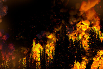 Forest fire natural disaster concept - burning fire in the woods on dark background - 3D illustration of nature