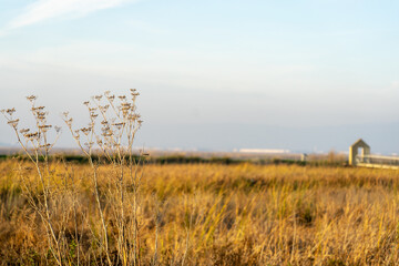 Wooden fence on a field / Sunset on the beach / sunset over the river