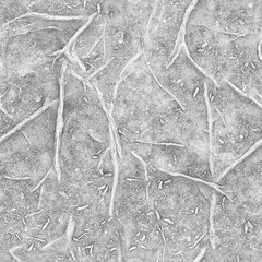 Forest ground Ambient occlusion map texture, grayscale AO map