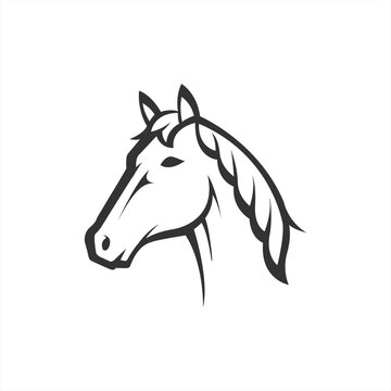 horse head vector line art illustration. equestrian sport, or strong symbol. perfect for animal farm company.