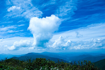 The curious landscape of clouds at mountain.