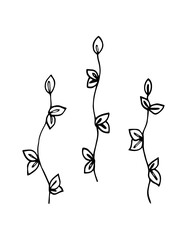 Hand drawn vector illustration set of simple black line twigs or grass,on a white background, sketch, Doodle, silhouette, shape.