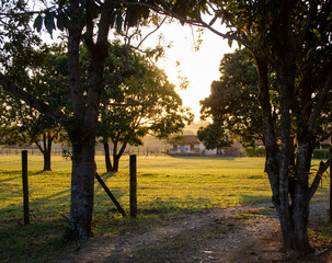 farm
