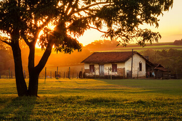 paisagem com árvore, casa velha na fazenda com pôr-do-sol e gramado verde