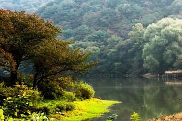 The beautiful lake  with mountain forest.