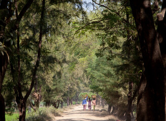 Fototapeta premium Rural scene in Myanmar