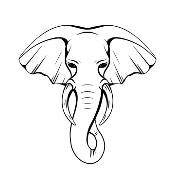 Contour elephant head with trunk and tusks. Wild mammal. Vector silhouette for coloring pages, logos, icons and your creativity.